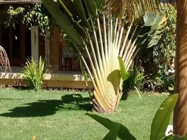 Casa para Venda em Porto Seguro - 4